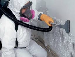 Best Industrial Mold Remediation  in St Pete Beach, FL